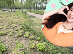 -汉长安城未央宫国家考古遗址公园