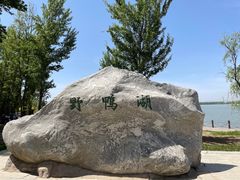 -野鸭湖国家湿地公园