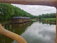 -白渔泡湿地公园