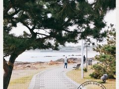 -青岛第三海水浴场