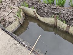 -同銮特种养殖场·龙虾垂钓