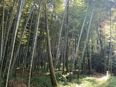 -同里国家湿地公园