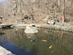 -大连天门山国家森林公园