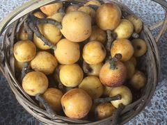 -塘栖枇杷特色园区