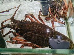 -万龙洲海鲜(南新仓店)