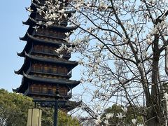 -常熟方塔园
