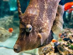 -太平洋海底世界