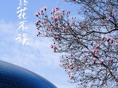 -国家大剧院