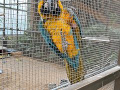 -南宫五洲植物乐园