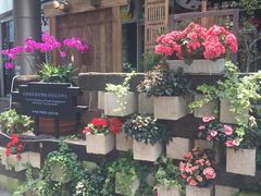 -813芭依珊 BAESAn(汇港购物中心店)