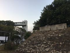 -大埔公路-马料水段香港中文大学(公交站)