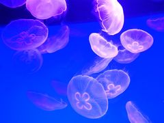 -沈阳海洋探索中心