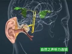-自然之声助听器·呼吸机(翠微大厦店)