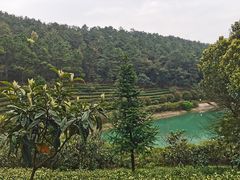 -九龙潭景区