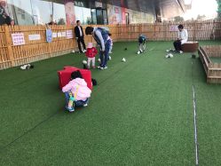 -萌宠亲子动物乐园(槐房万达店)