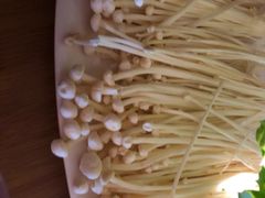 金针菇-海银海记潮汕牛肉火锅(新港中路海珠店)