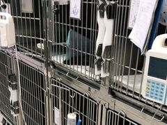 -申普宠物医院·眼科·心内科·影像科(普陀分院)