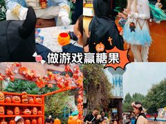 -郑州方特梦幻王国