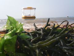 -东戴河风景区-止锚湾