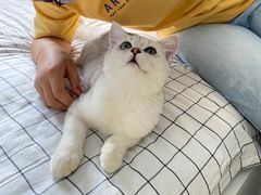 -美联众合动物医院·24h京西诊疗中心