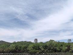 -北宫国家森林公园