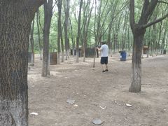 -亲兄弟真人CS团建拓展基地