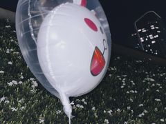 -南京眼步行桥