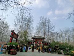 -合肥滨湖国家森林公园