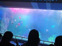 -泉城欧乐堡海洋极地世界