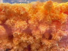 -味子夫鸡柳(解放碑总店)