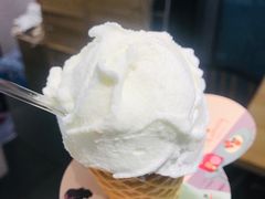 -野人先生现做冰淇淋(北京顺义祥云小镇店)