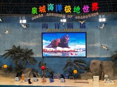 -泉城欧乐堡海洋极地世界