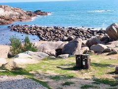 -广东惠东海龟国家级自然保护区