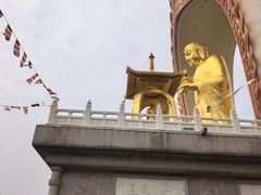 -庐山风景名胜区-东林大佛