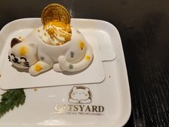 -猫小院猫主题咖啡厅(北锣店)
