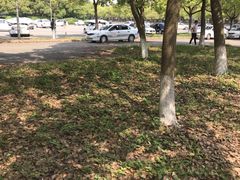 -安飞驰驾校·学车连锁(金高店)