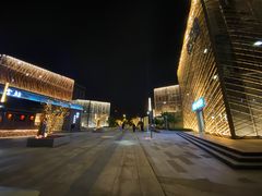 -映月湖中央公园