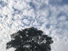 -同济大学(嘉定校区)