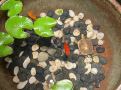 -曲水兰亭(北京四惠店)