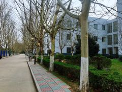 -南京理工大学紫金学院