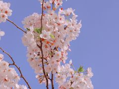 -苏州上方山国家森林公园