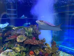 -成都浩海立方海洋公园