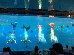 -瑞德姆美人鱼海底演艺主题餐厅(亚龙湾店)