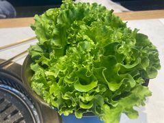 -杨记齐齐哈尔烤肉(总店)