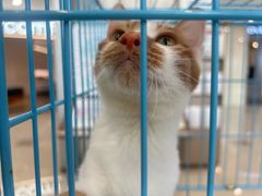 -家饰佳(宜山路店)