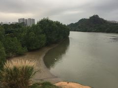 -大亚湾红树林城市湿地公园