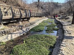 -白水寺森林公园