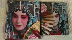 -胭脂猫京剧摄影