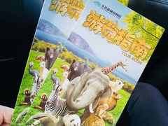 -大连森林动物园