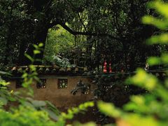 -西华公园
